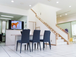 （株）ハヤシの画像