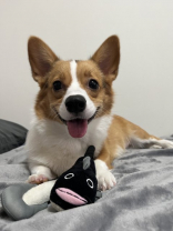 高橋直己の画像