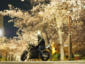 津田蓮斗の画像