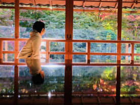大島伊織の画像